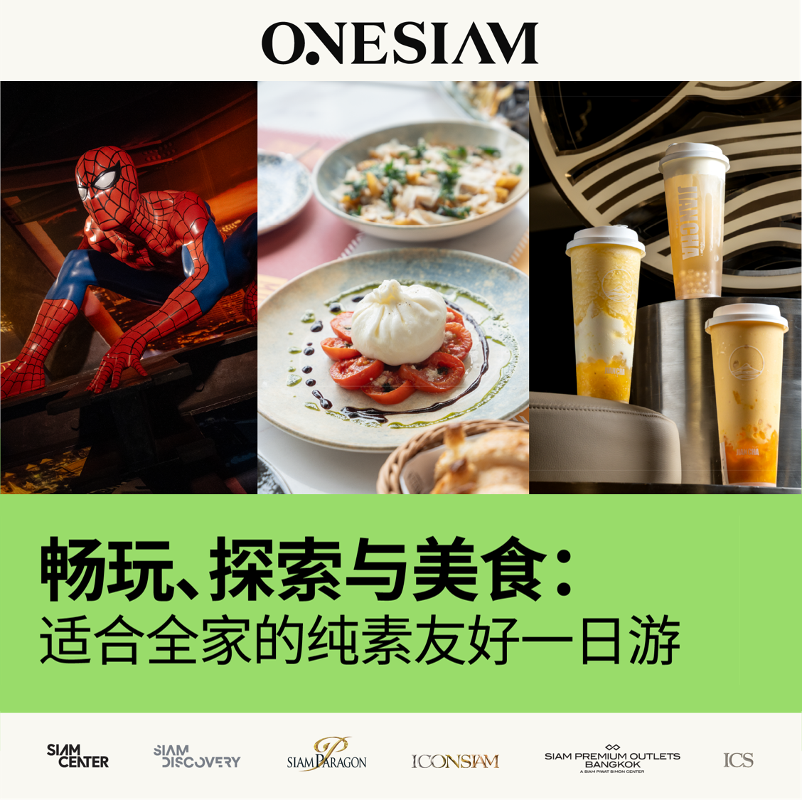 畅玩、探索与美食： 适合全家的纯素友好一日游