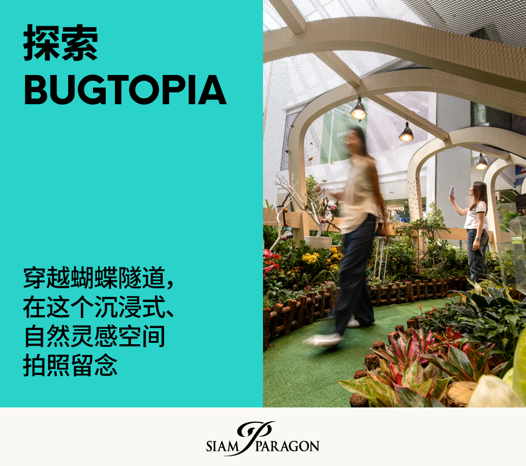 NEXTOPIA未来梦都 一日游