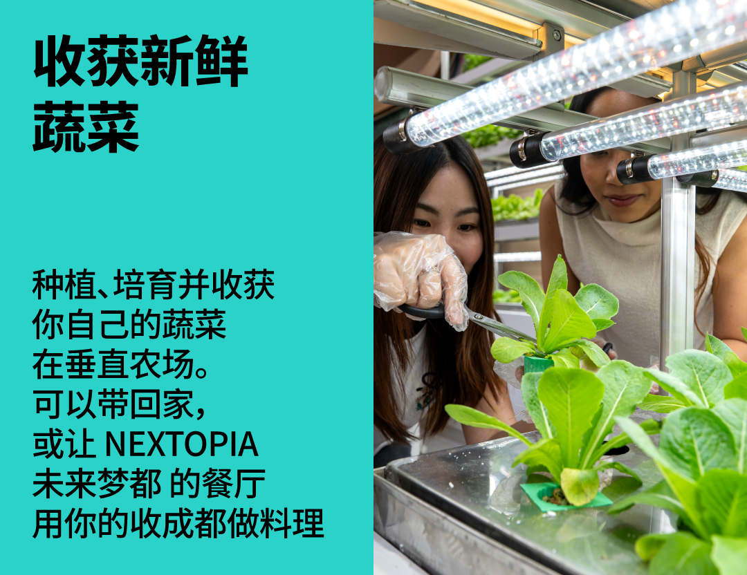NEXTOPIA未来梦都 一日游