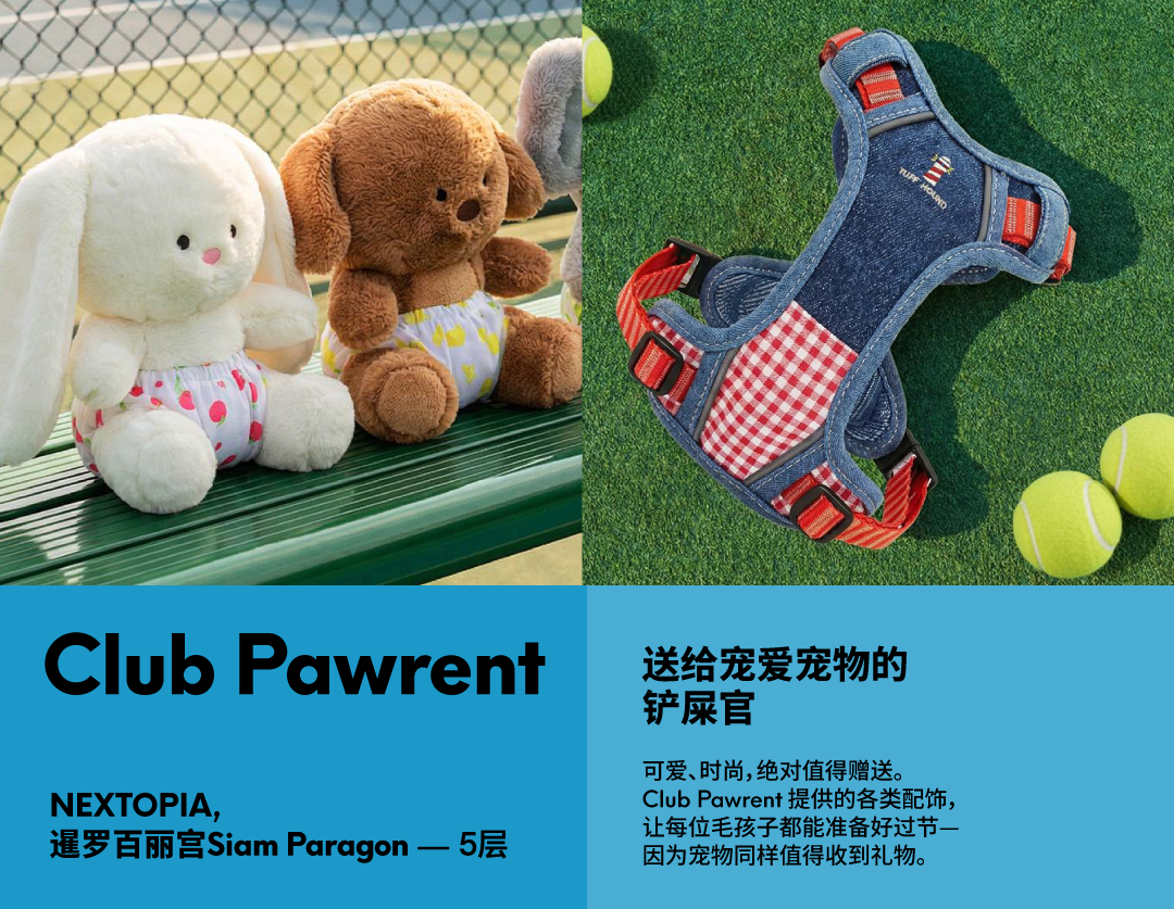 精心策划的节日送礼指南—贴心、有趣、最适合你的精选_Club Pawrent