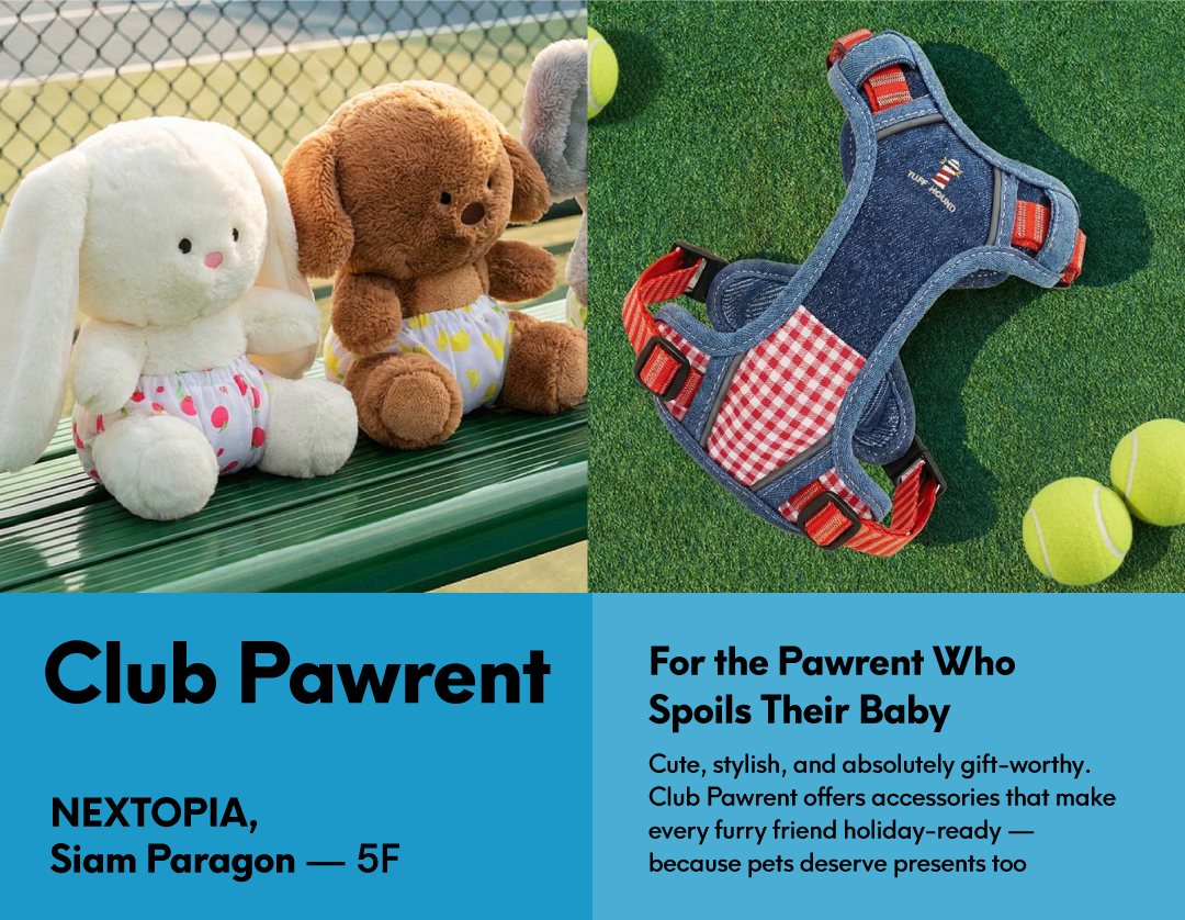 Your Curated Holiday Gifting Guide – Thoughtful, Playful, and Perfectly You_Club Pawrent