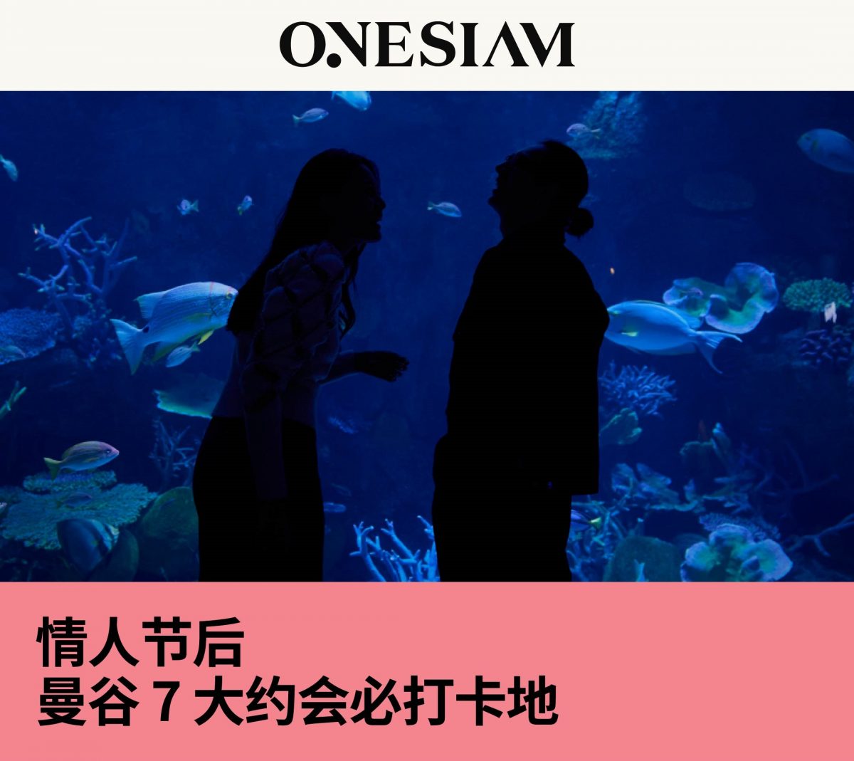 情人节后,曼谷7大约会必打卡地