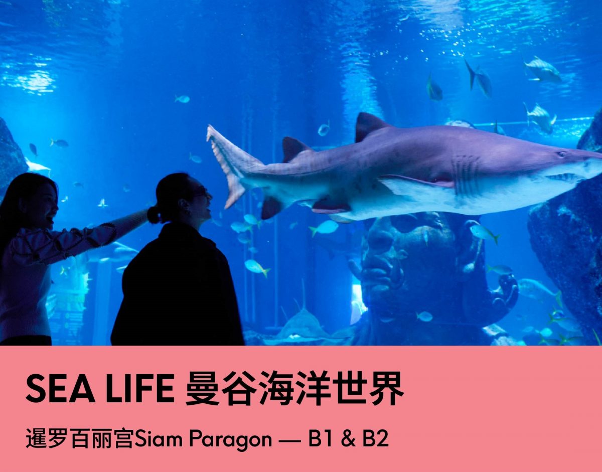 情人节后,曼谷7大约会必打卡地 - SEA LIFE 曼谷海洋世界