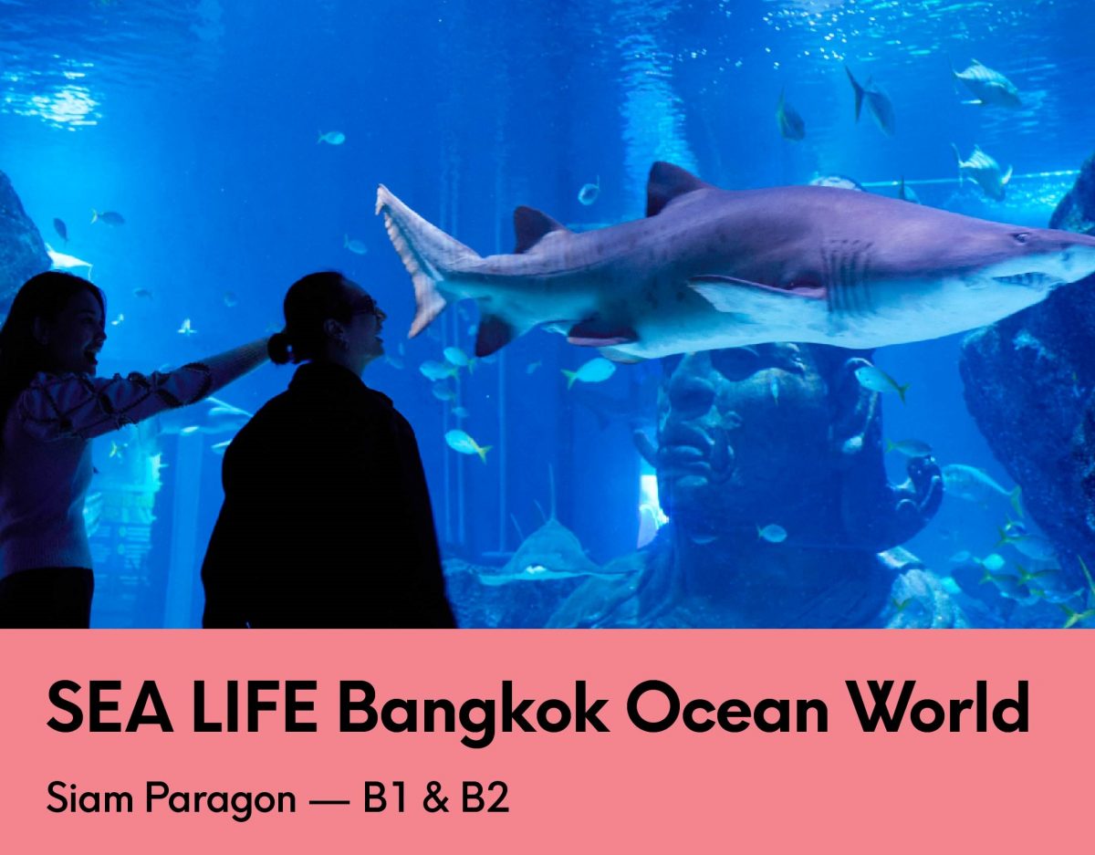 SEA LIFE - 7 Post-V-Day Date Ideas in Bangkok
