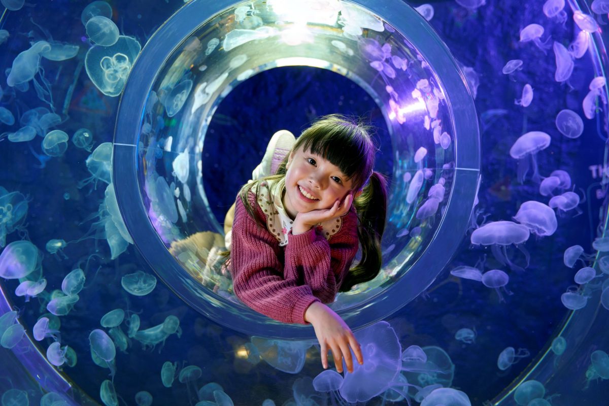 A Relaxed Day Out with Kids in Bangkok at SEA LIFE