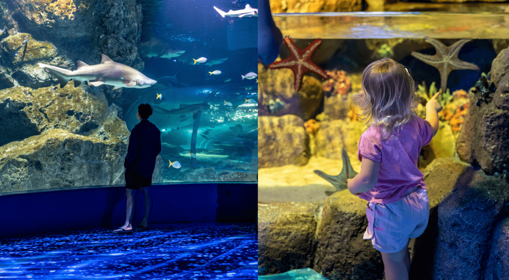 SEA LIFE Bangkok Ocean World
